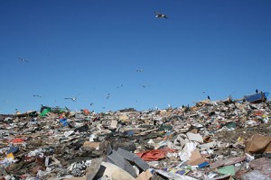 landfill