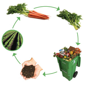 compost_cycle