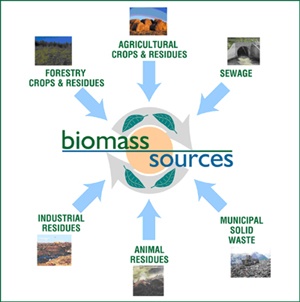 biomass_resources_middle_east