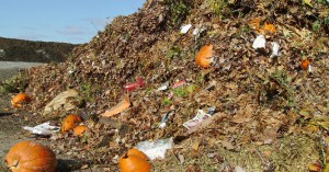 Organic_Wastes_Middle_East
