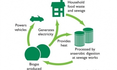 Biogas-MSW
