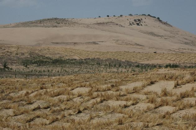 desertification in mena