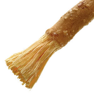 toothbrush-tree-arabia
