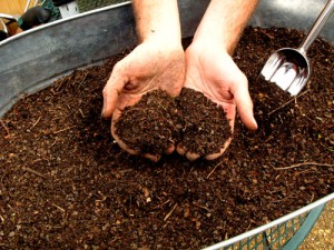 composting-arabic