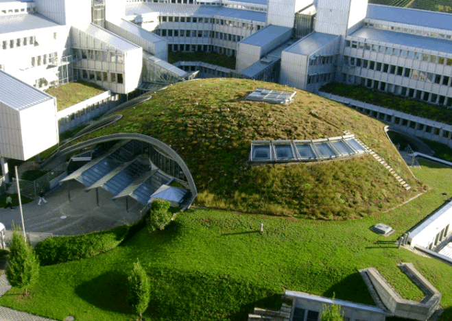 green-roofs-middle-east