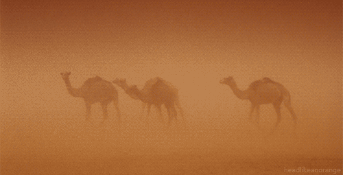 sand-dust-storm