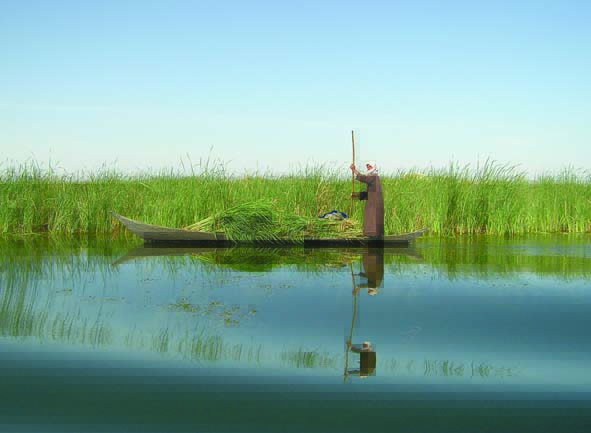 wetlands in arab countries
