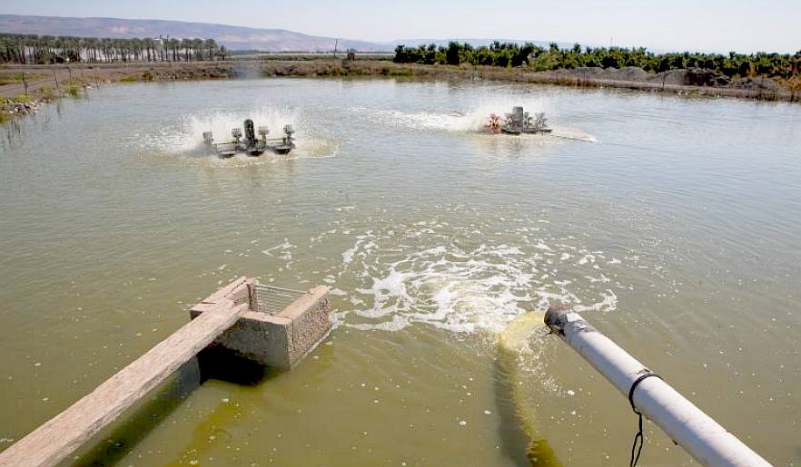 Pollution and mismanagement has severely damaged the Jordan River