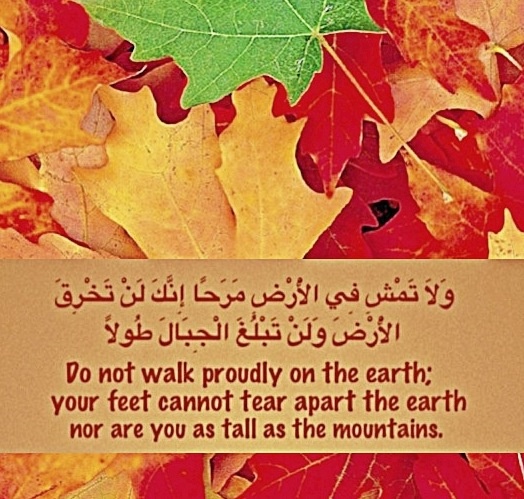 quran-environment-protection