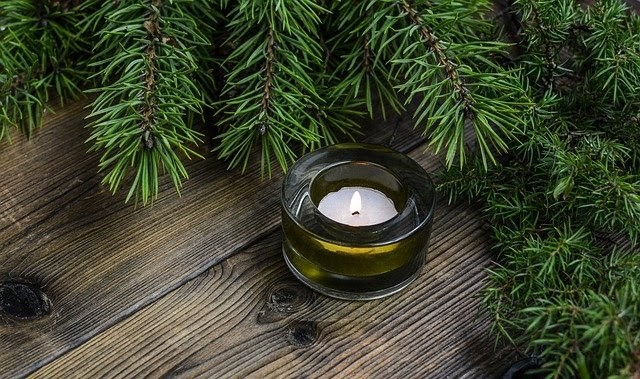 plant based candles as gift