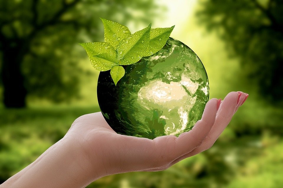 Ways to Make Your Business Eco-Friendly